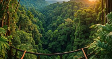 A breathtaking panoramic view of a lush rainforest with vibrant birdlife, showcasing the beauty of nature and the importance of eco-tourism.